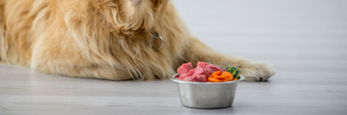 Healthiest meats for dogs best sale