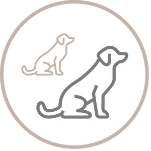 Ageing Large Breeds