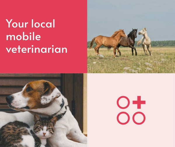 Anomalia Veterinary Services
