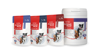 Antinol Plus - Antinol Rapid