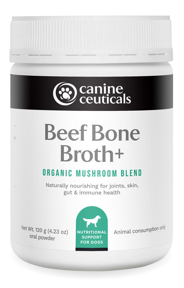 Beef Bone Broth+ - CanineCeuticals