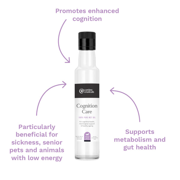 Active Dog Bundle - Cognition Care by CanineCeuticals