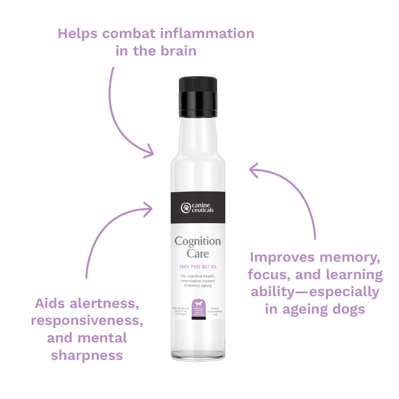 Senior Dog Cognition Pack - Cognition Care by CanineCeuticals