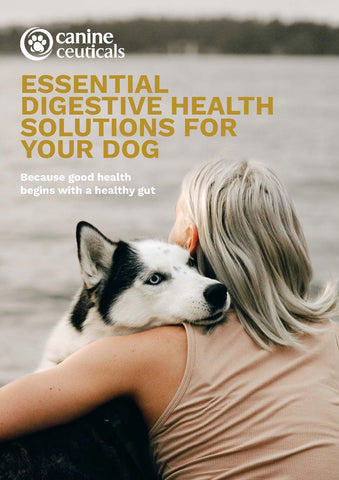 Essential digestive health solutions for your dog - Downloadable guide - CanineCeuticals