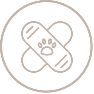 Dogs in Recovery