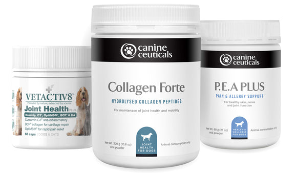 Joint Support Pack for Senior Dogs at CanineCeuticals