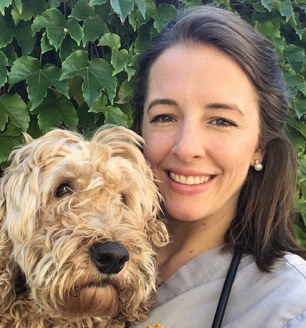 Mont Albert Veterinary Surgery
