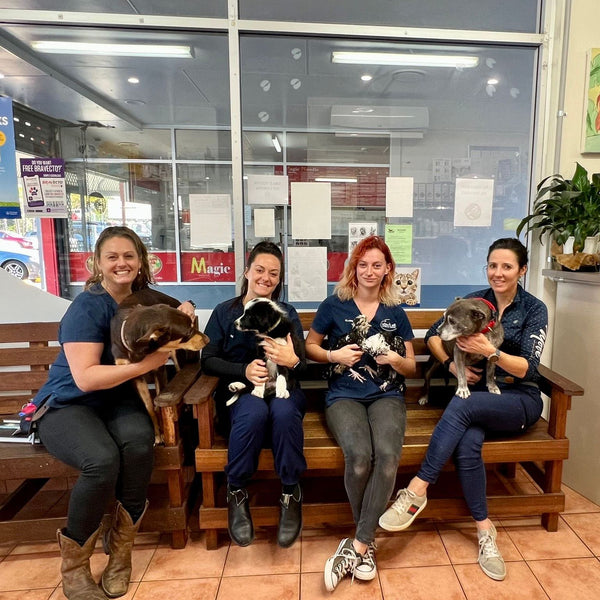 Noahs Ark Vets