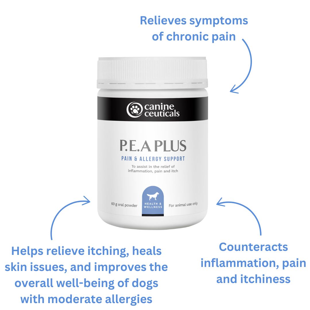 PEA Plus Benefits - CanineCeuticals