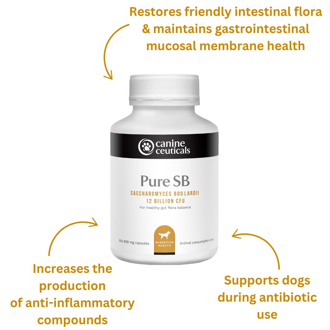 Pure SB benefits - CanineCeuticals