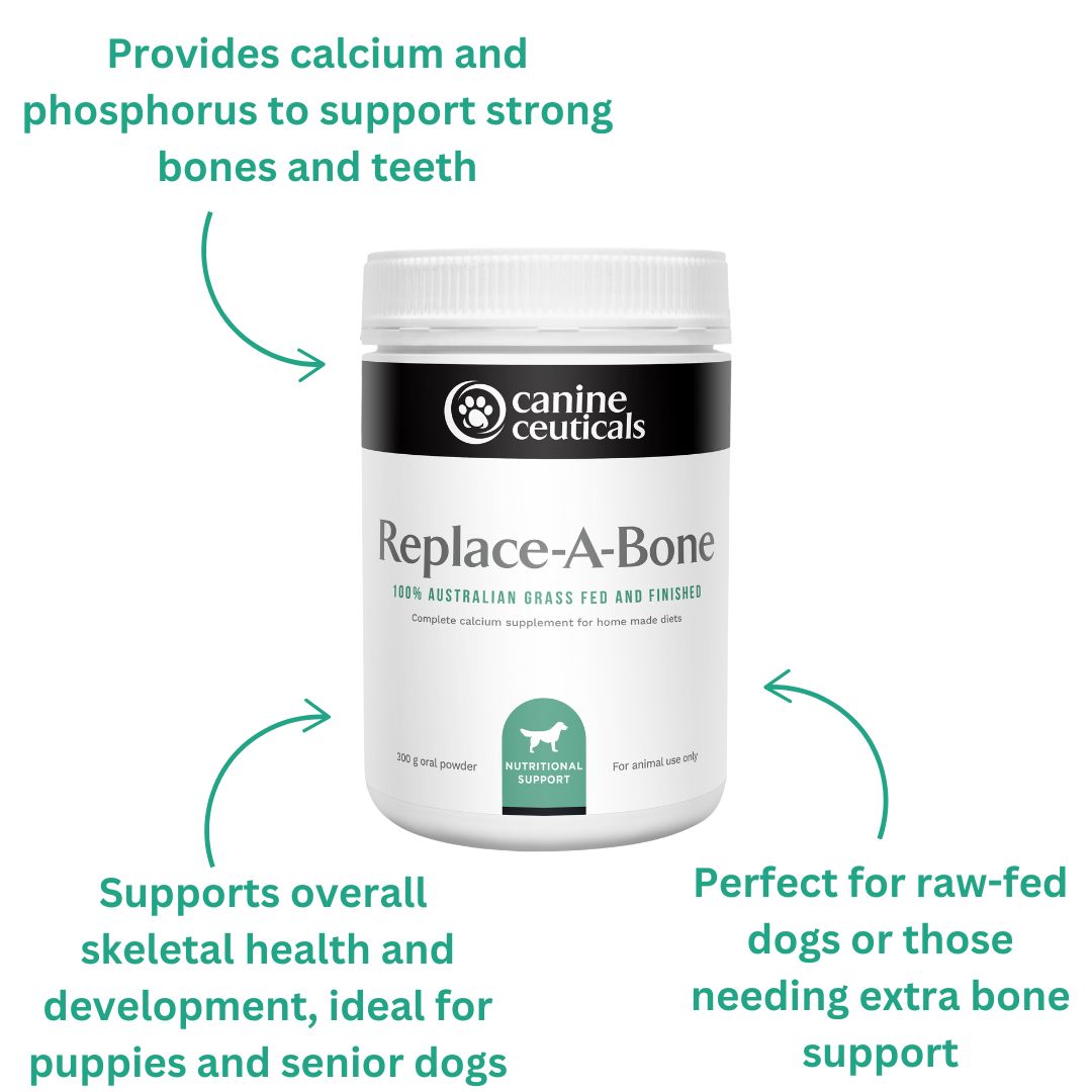 Replace-A-Bone Benefits - CanineCeuticals
