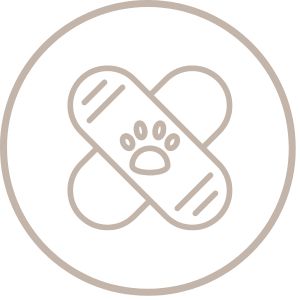 Rescue Dogs