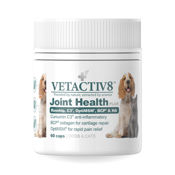 VetActiv8 Joint Health Plus