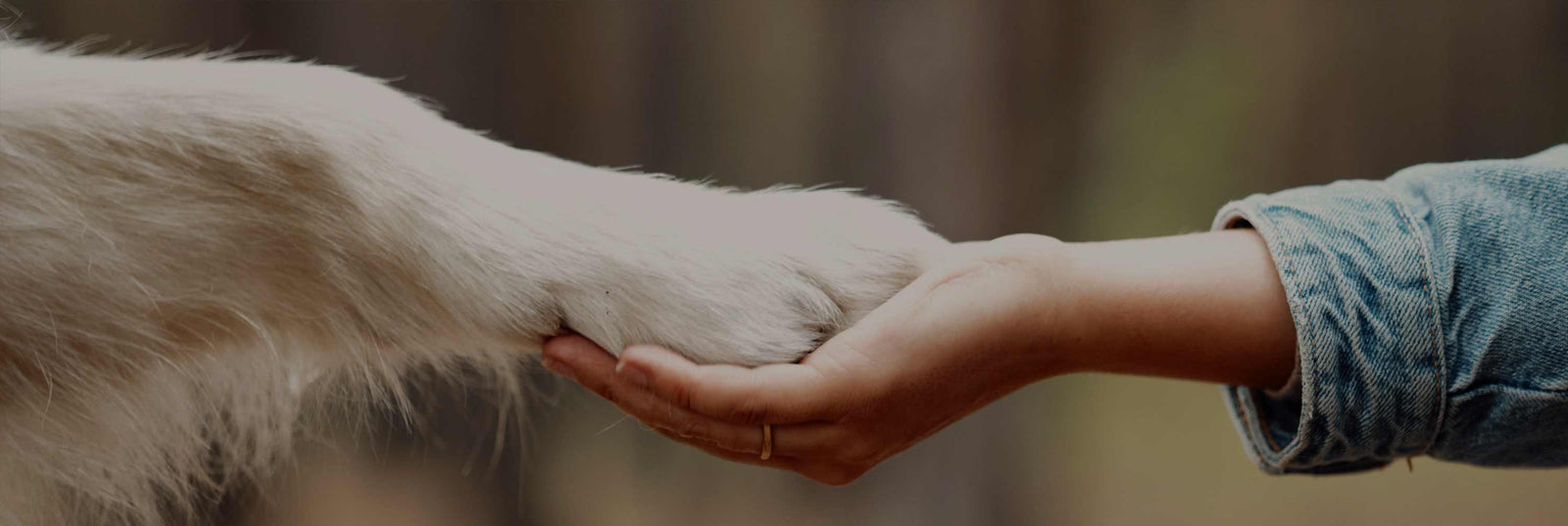 CanineCeuticals News