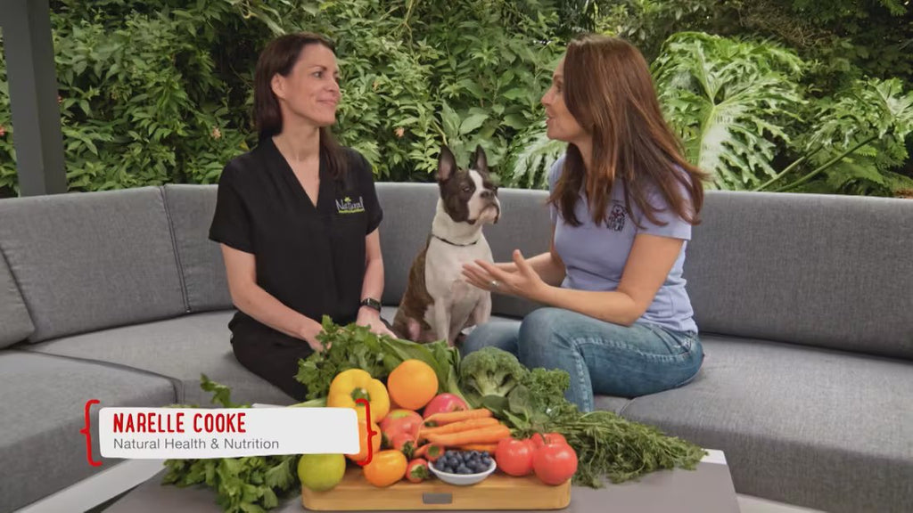 The role of fruits & vegetables in our dog’s diets