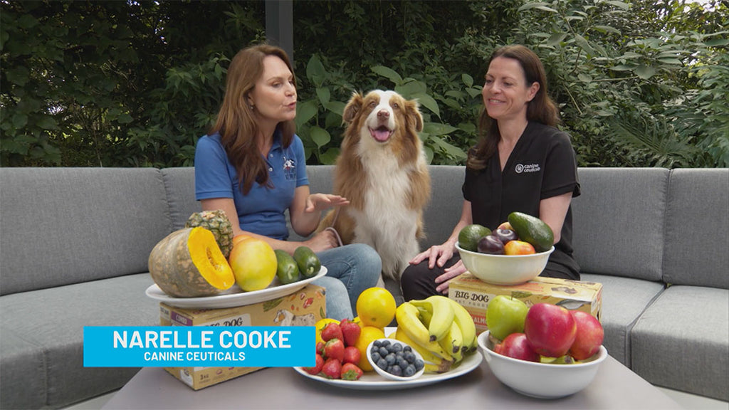 The Benefits of Fruit - CanineCeuticals