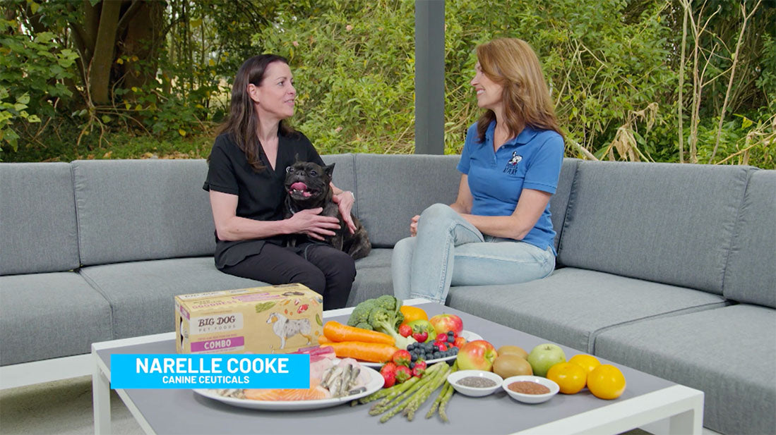 The role of fats, protein and carbohydrates in a dog’s diet