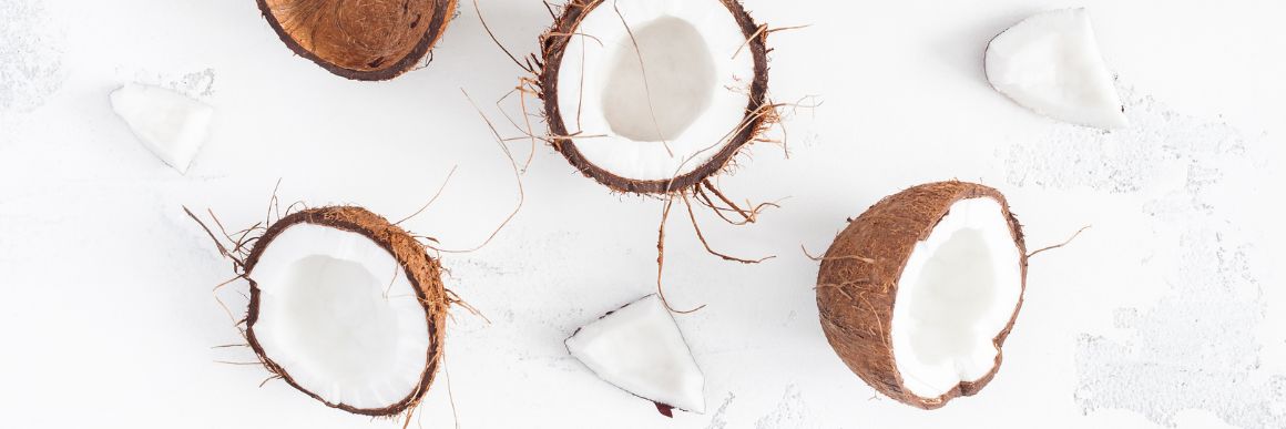 Overhead view of fresh coconut halves and chunks on a white background, highlighting the natural source of MCT oil.