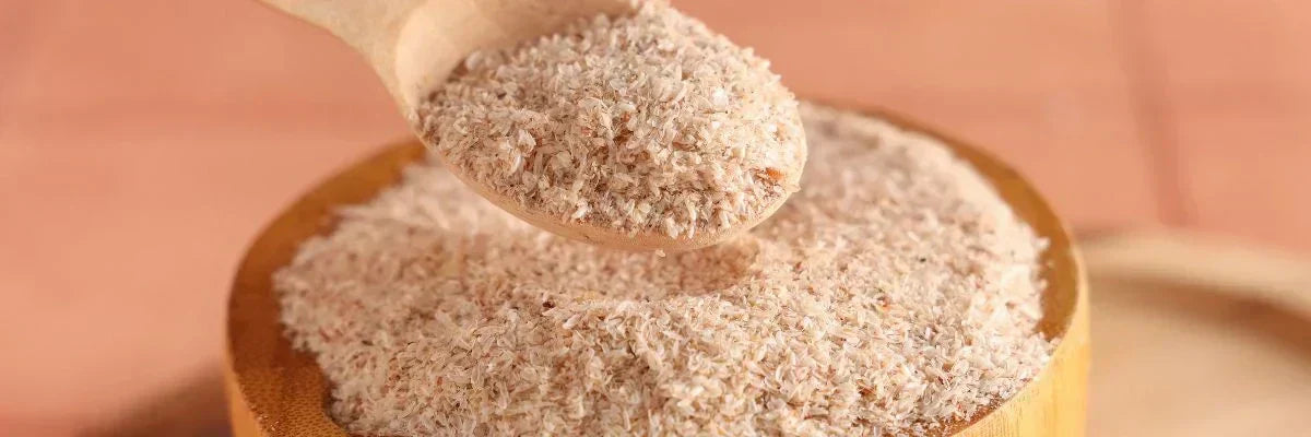 Psyllium husk fibre supplement supporting dog stool consistency