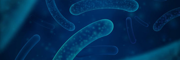 Digestive Health