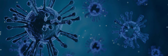Immune Health