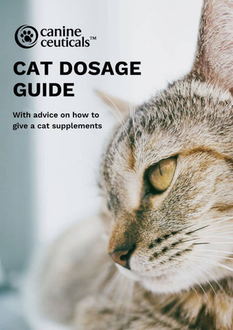 CanineCeuticals - Cat Dosage Guide with advice on how to give a cat supplements