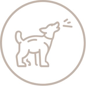 Barking or Whining