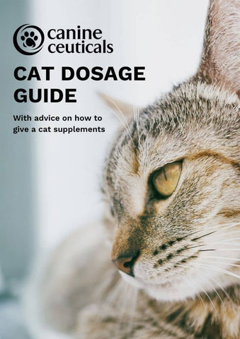 CanineCeuticals - Cat Dosage Guide with advice on how to give a cat supplements