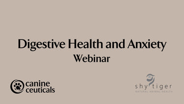 Digestive Health and Anxiety Webinar