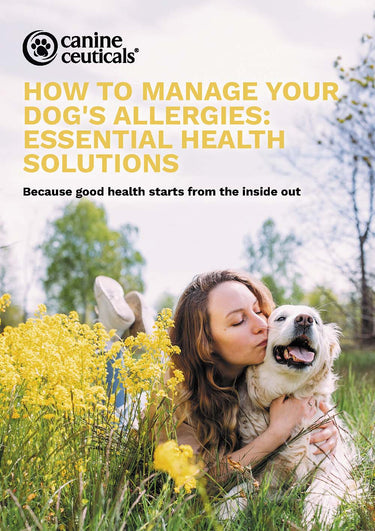 Woman kissing a dog in a field of yellow flowers - managing dog allergies.