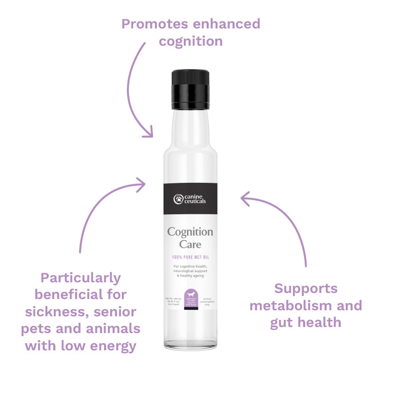 CanineCeuticals Cognition Care - Benefits - Active Dog Bundle
