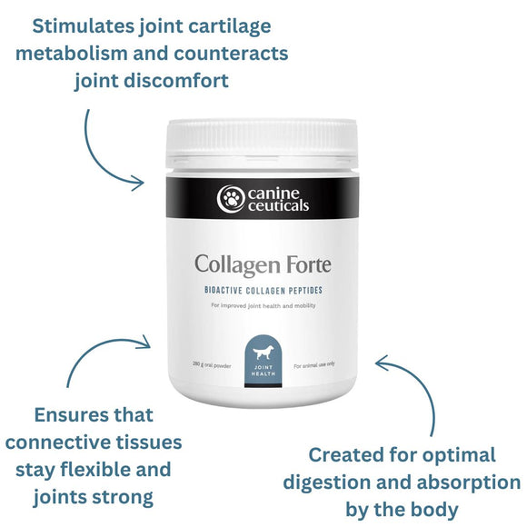 Active Dog Bundle - Collagen Forte