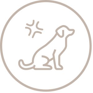 Destructive or Aggressive Behaviour