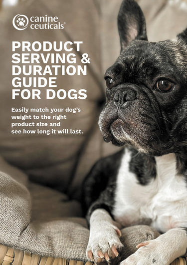 Dog lying on a cushion with text about product serving and duration guide for dogs by CanineCeuticals.