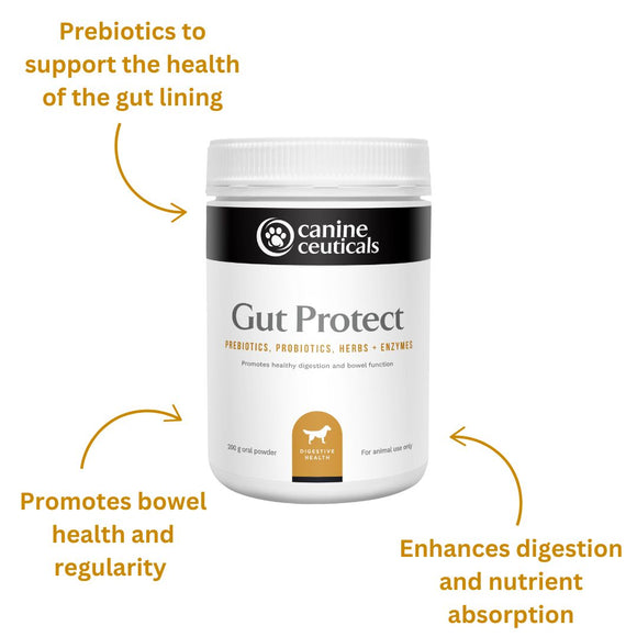 The Ultimate Gut Bundle - Gut Protect