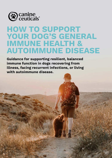 Immune health & Autoimmune Disease Health Guide - CanineCeuticals