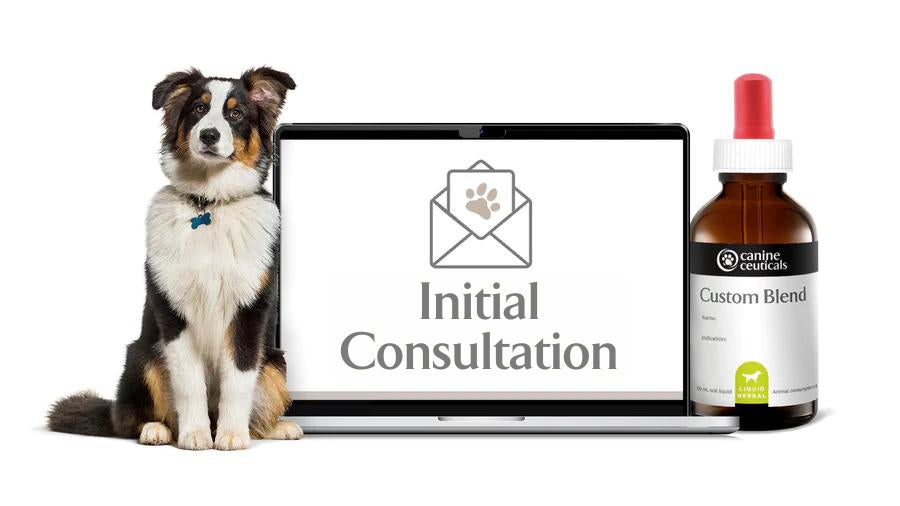 CanineCeuticals - Initial Consultation
