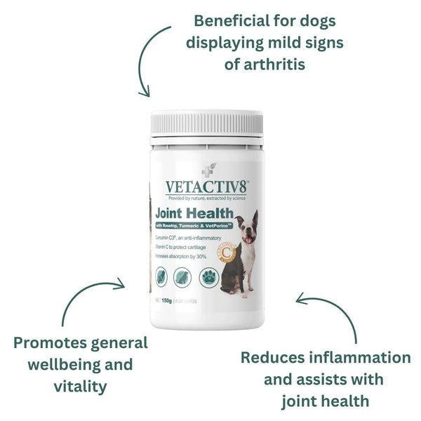 Active Dog Bundle - Joint Health