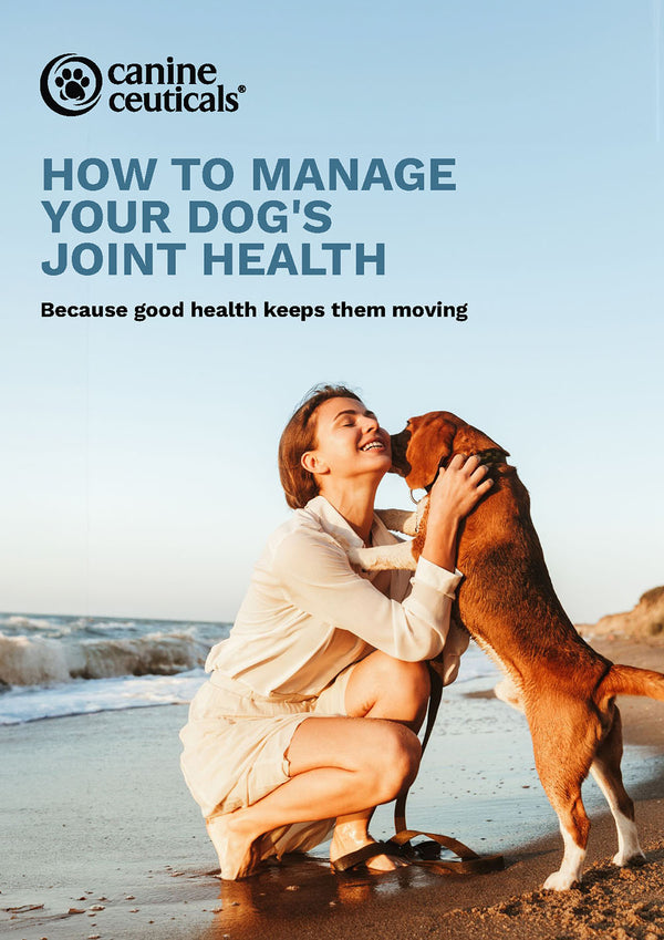 Woman with dog on beach, promotional text for canine joint health, CanineCeuticals brand.