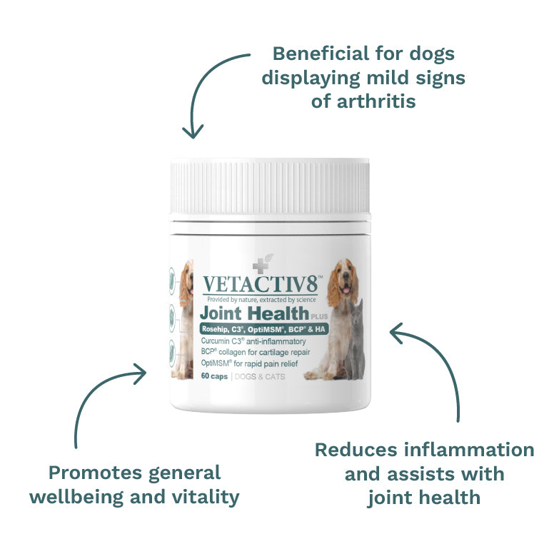 Joint Health Plus - VetActiv8 at CanineCeuticals
