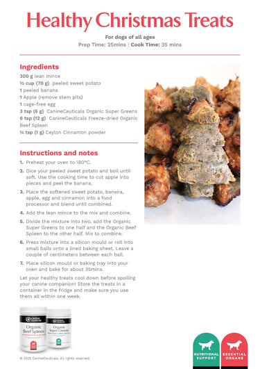 Healthy Christmas Treats - Canineceuticals