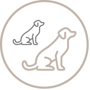 Small Companion Breeds