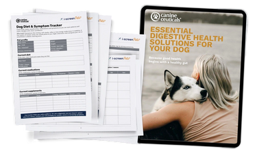 Dog Diet Symptom Tracker