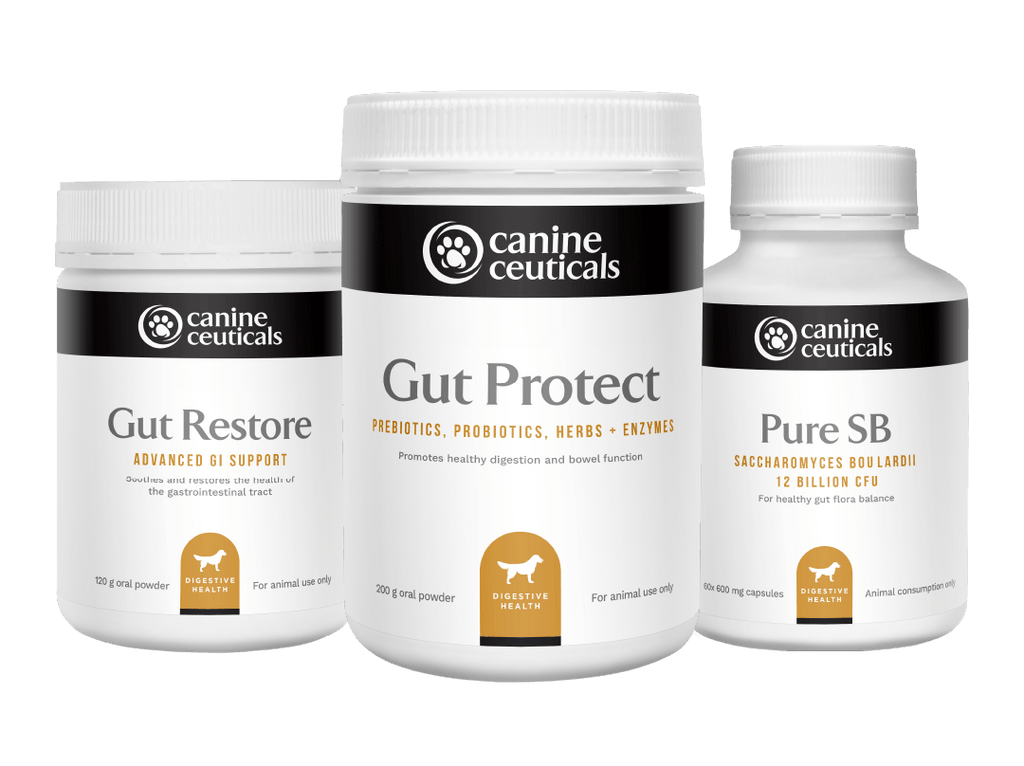 Ultimate Gut Bundle - Get Restore, Gut Protect, Pure SB - CanineCeuticals
