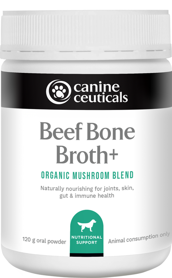 Beef Bone Broth+