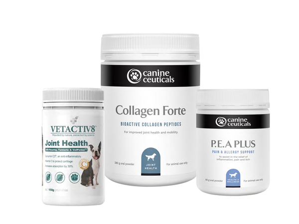 Senior Dog Joint Care Pack