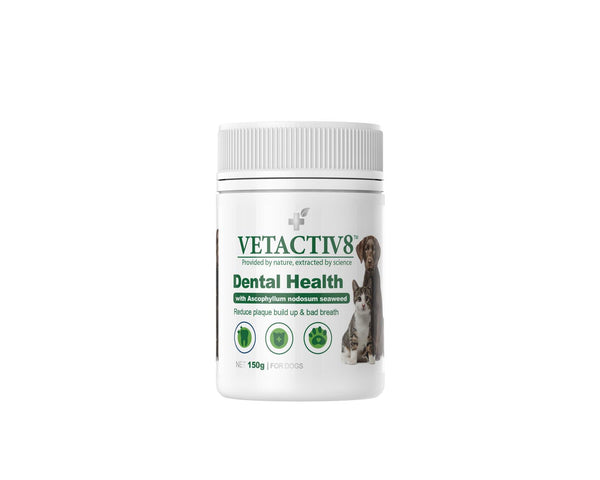 Dental Health